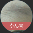 上海奉贤区整形医院