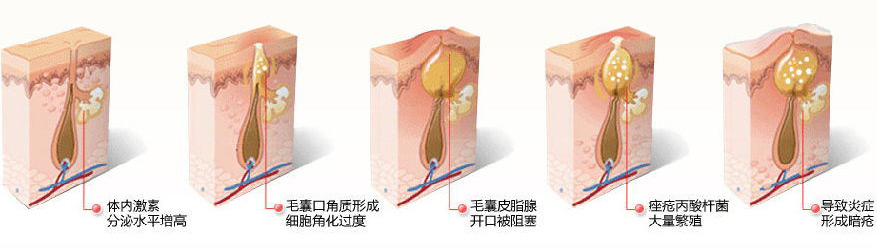 上海奉贤区整形医院